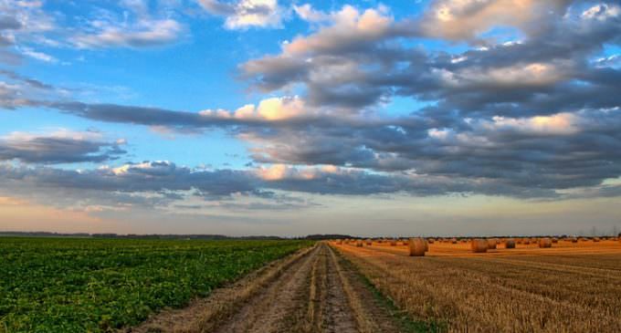 Dopłaty bezpośrednie do ziemi, koniec z wyłudzeniami